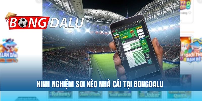 Kinh nghiệm soi kèo nhà cái tại bongdalu