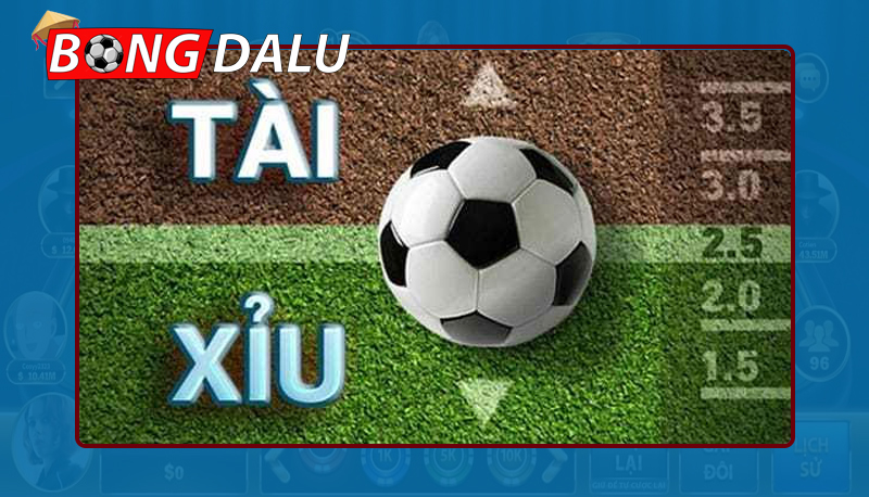 Kinh nghiệm soi kèo tài xỉu luôn thắng